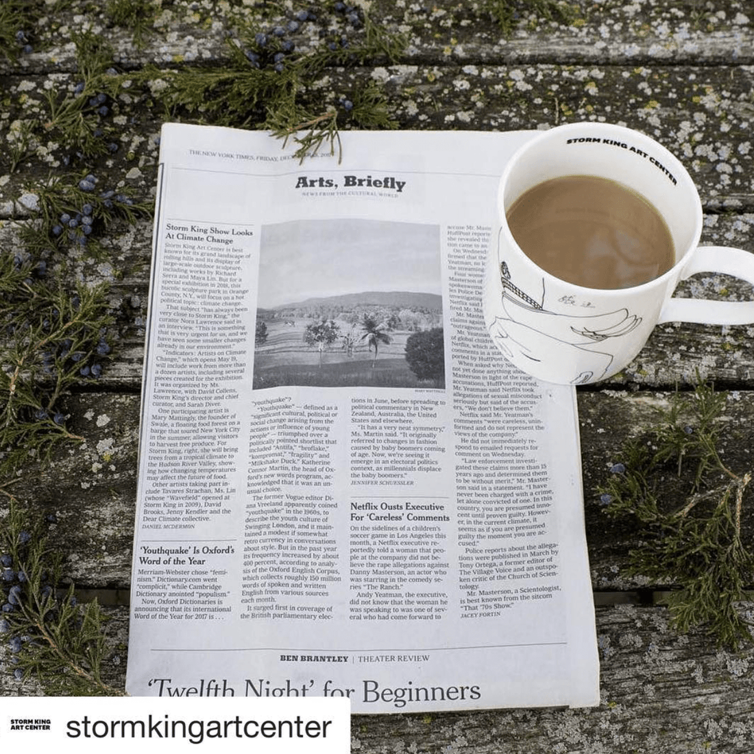 Along the Lines of Displacement in the New York Times - marymattinglystudio