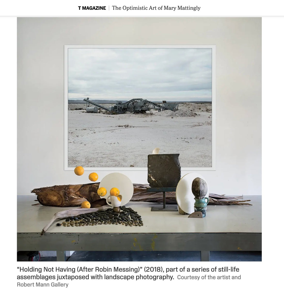 New York Times: T Magazine story | The Optimistic Art of Mary Mattingly - marymattinglystudio