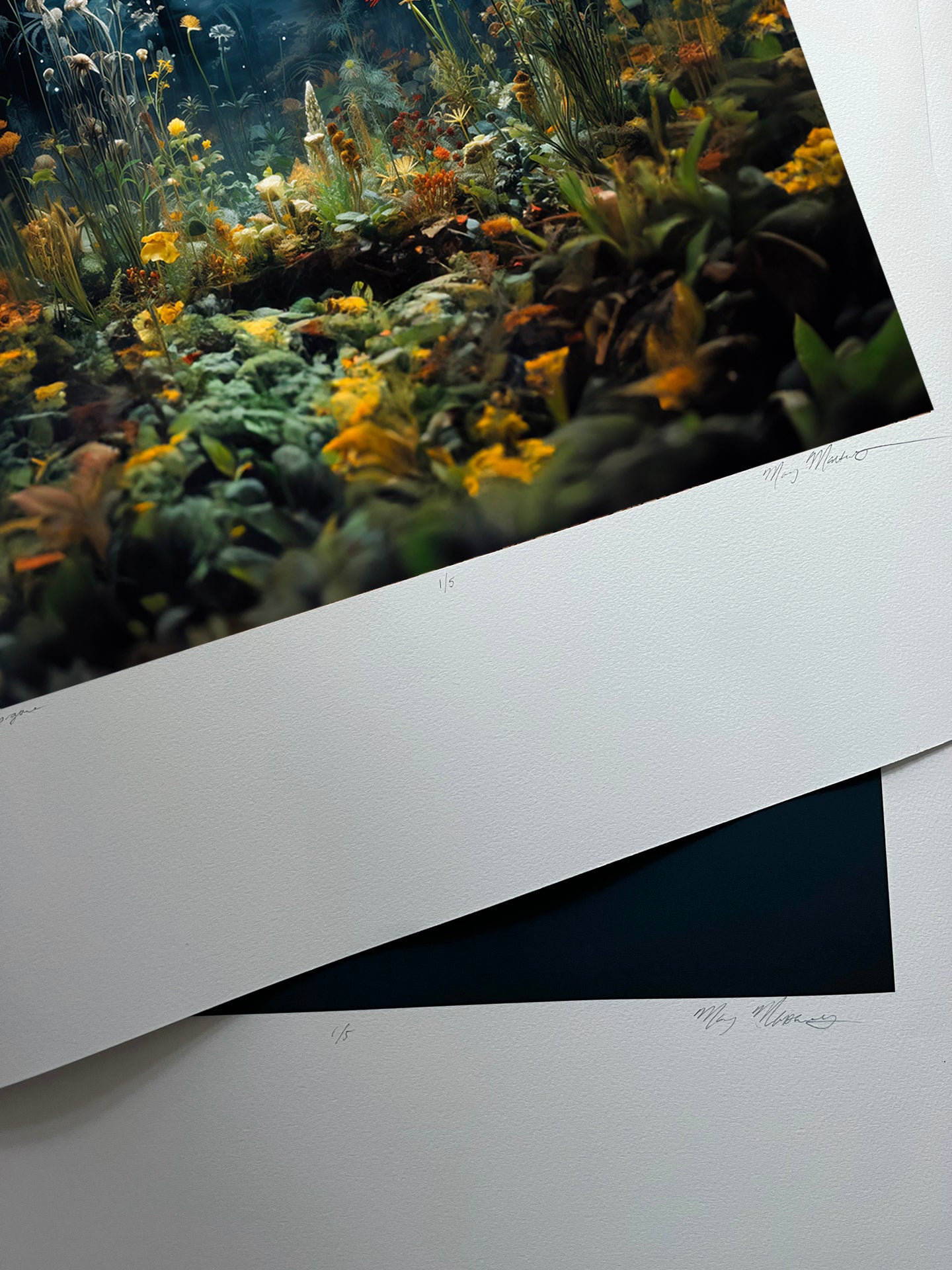 Close-up of a floral arrangement with a white border