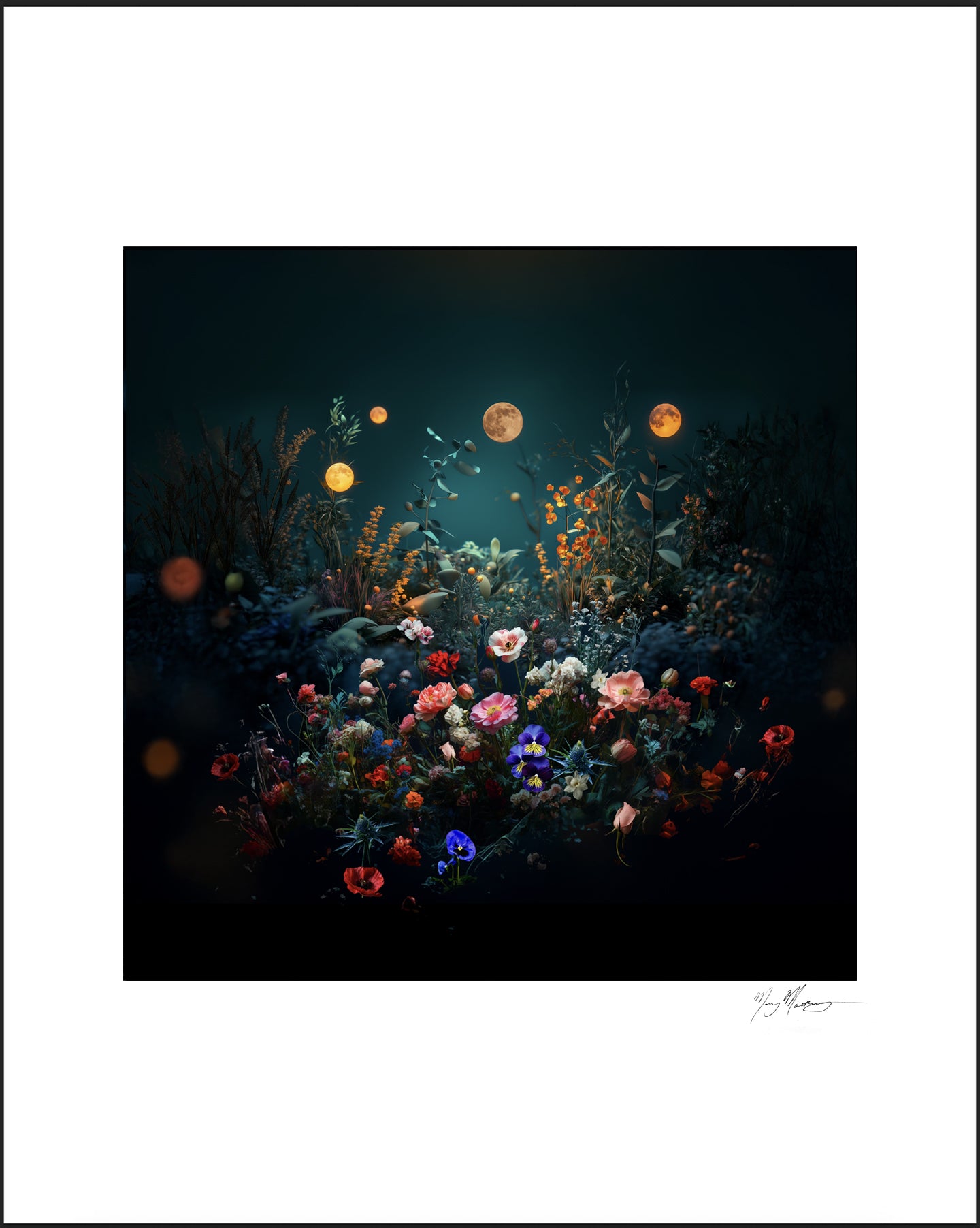 Framed artwork of a night scene with flowers and moons. fundraiser print, Swale, Floating Garden, collage, photography, contemporary art, mary mattingly, artist, eco art.