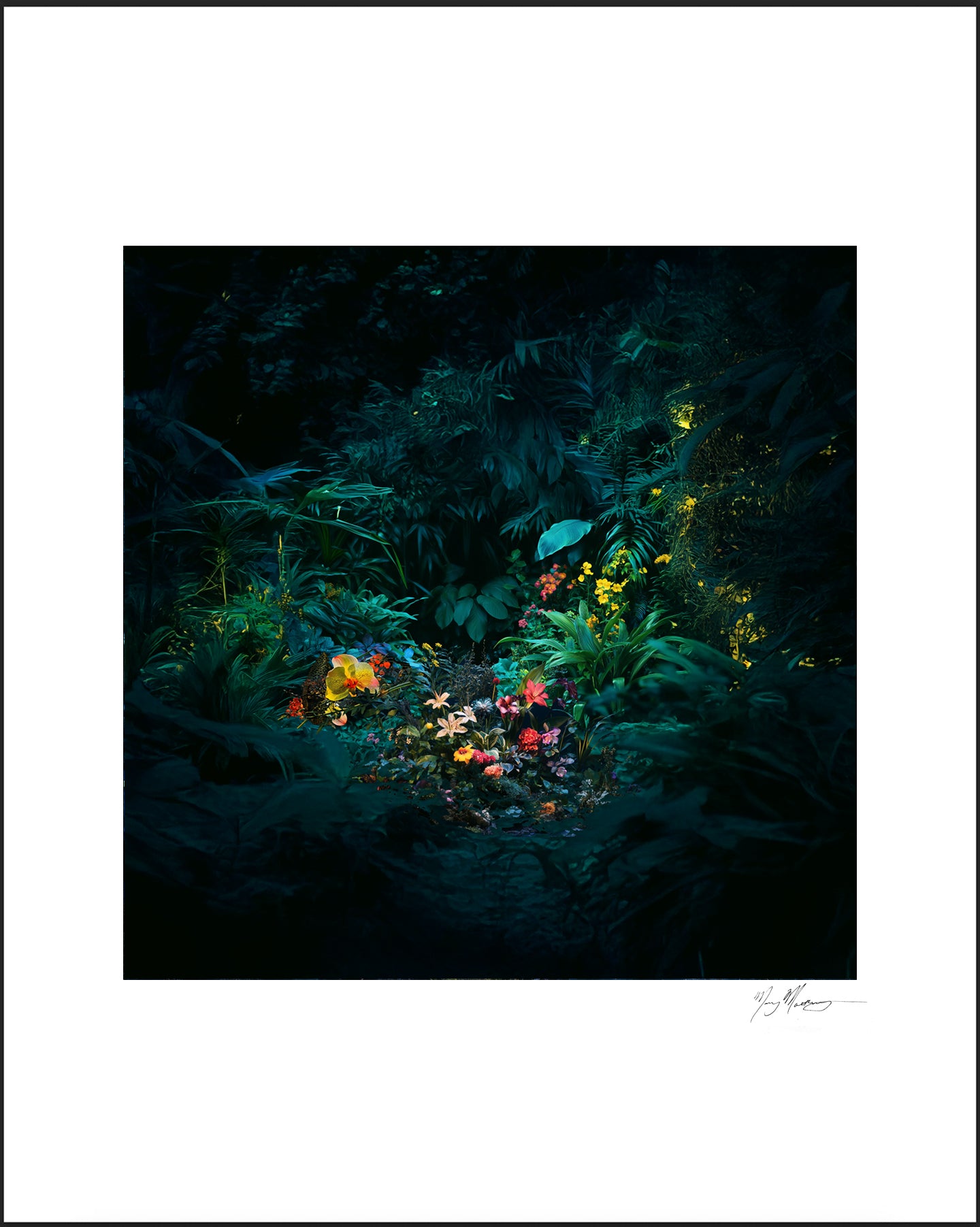 Uncanny Forest, from the portfolio Night Gardens
