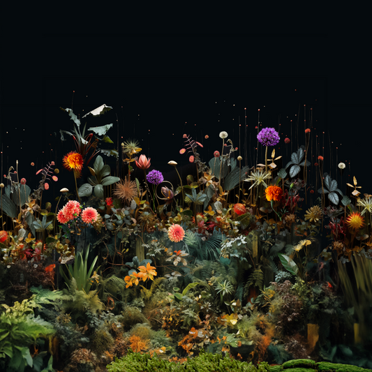 "Night Gardens" collages