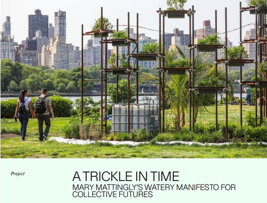 A TRICKLE IN TIME | Mary Mattingly by Mold Magazine - marymattinglystudio
