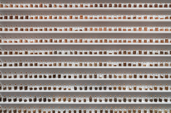 Ecotopian Library | Museum London | Mary Mattingly Art