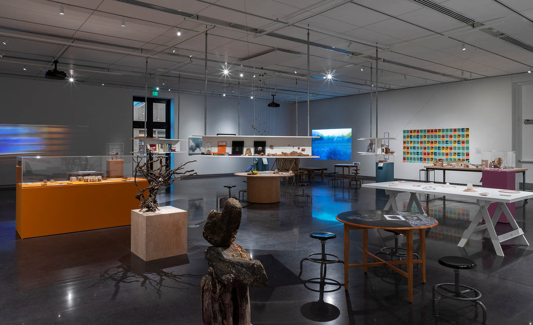 "Ecotopian Library" installation - marymattinglystudio