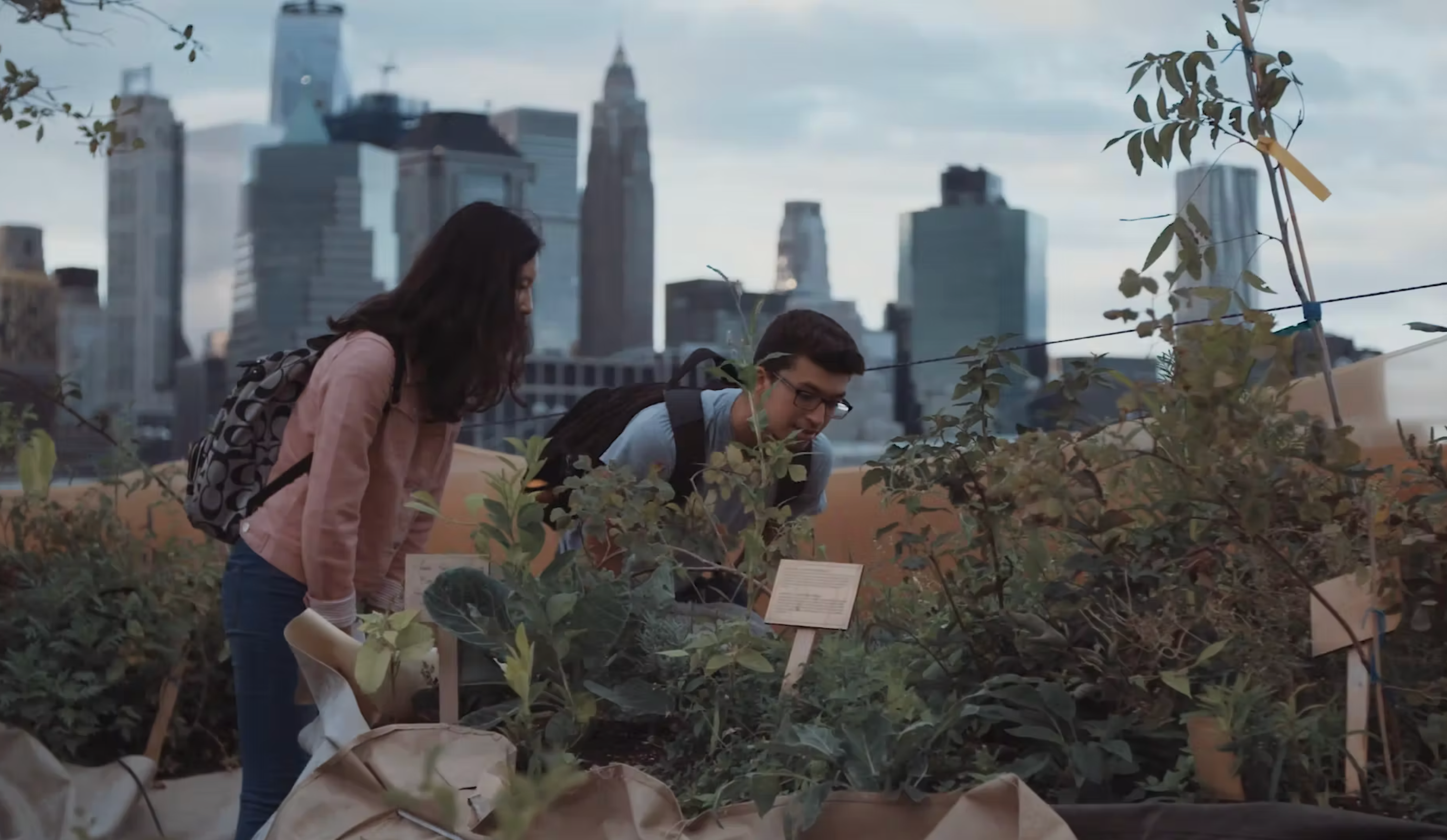 Load video: Swale: A Floating Food Forest