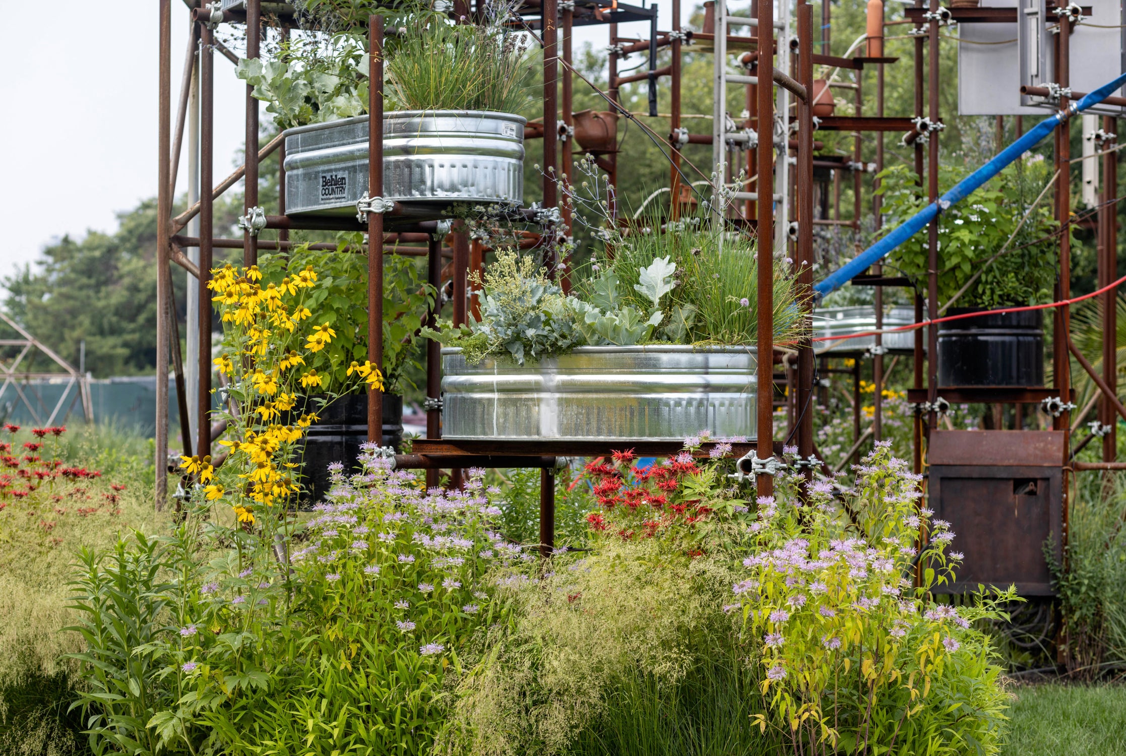 Mary Mattingly, NYC Artist, Public art, eco art, Socrates Sculpture Park, landscape art, native plants, salt tolerant plants, halophyte plants, plant art, rising tides, rising sea levels, climate change art, eco art, art and ecology, NYC climate change, sculpture park commission