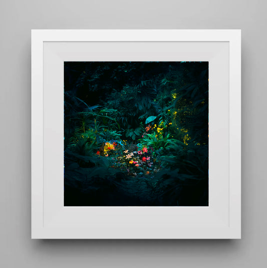 Uncanny Forest, from the portfolio Night Gardens