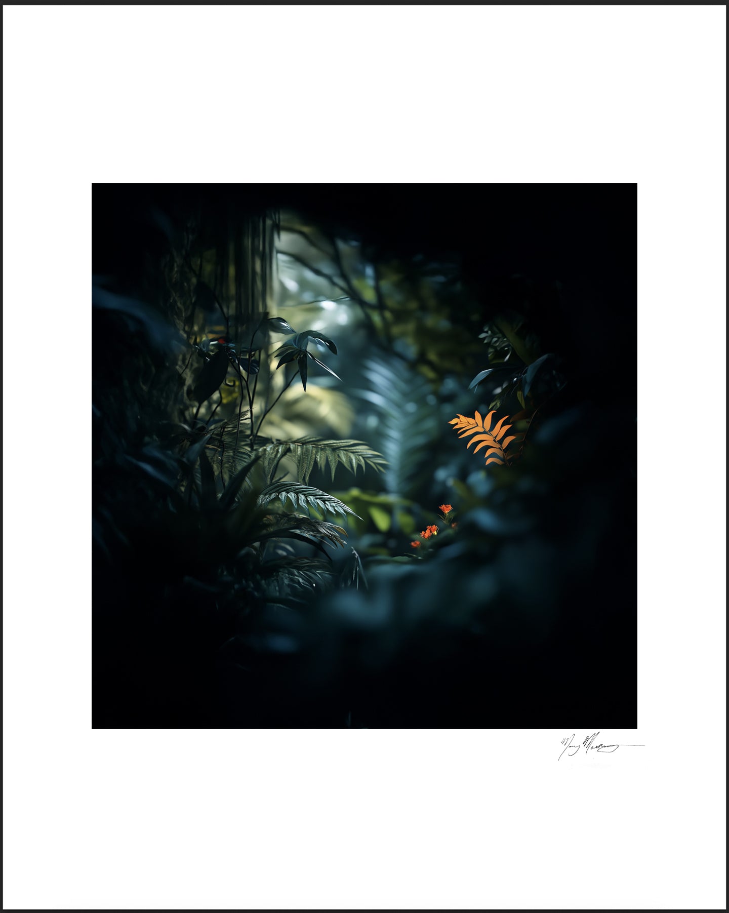 Overstory, from the portfolio Night Gardens