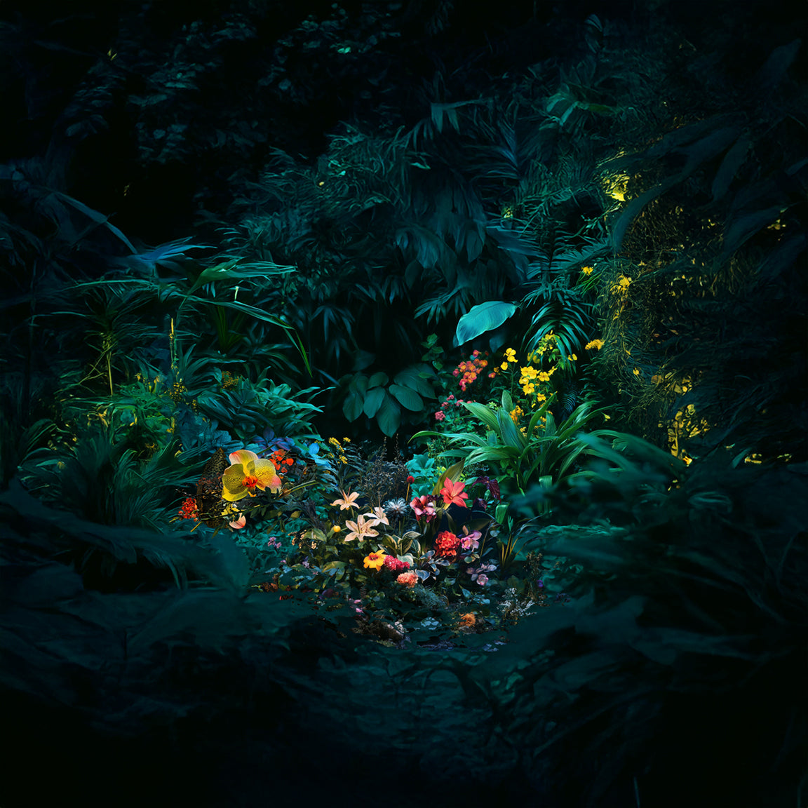 Uncanny Forest, from the portfolio Night Gardens