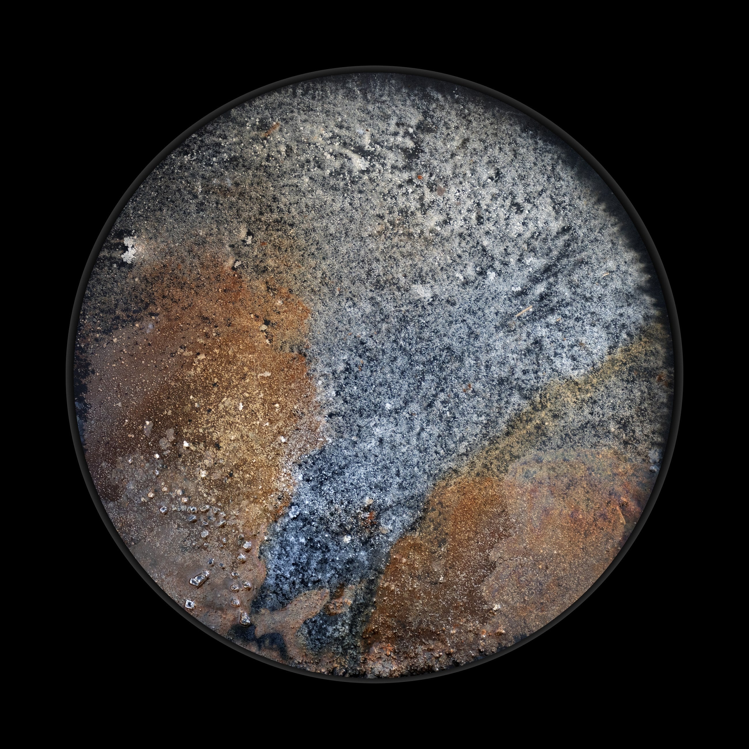 Salt Forms